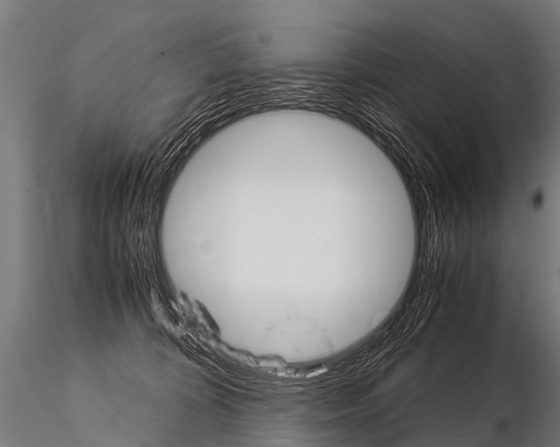 X0000115210324200912091204