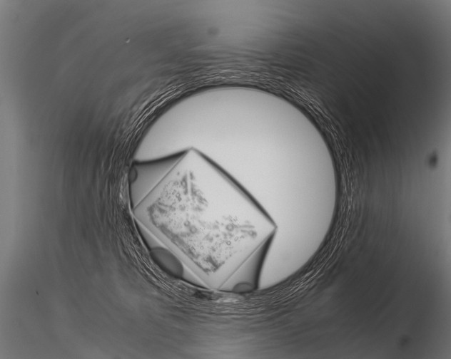 X0000115210325200912091204