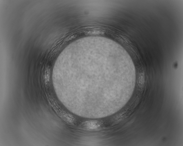 X0000115210326200912091204