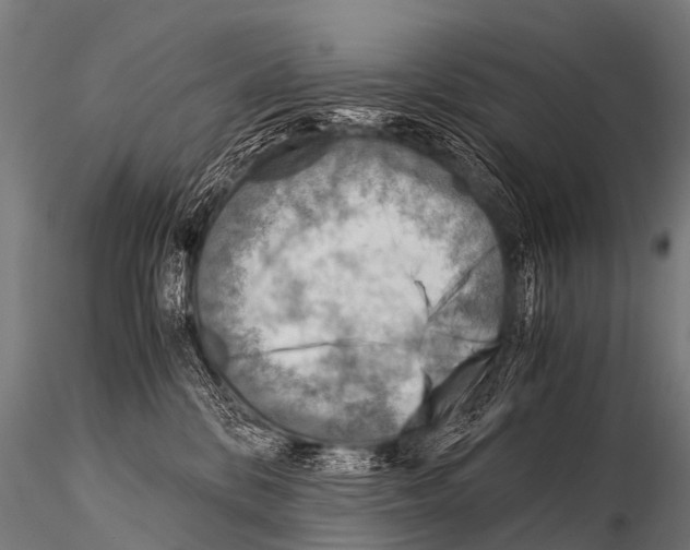 X0000115210328200912091203