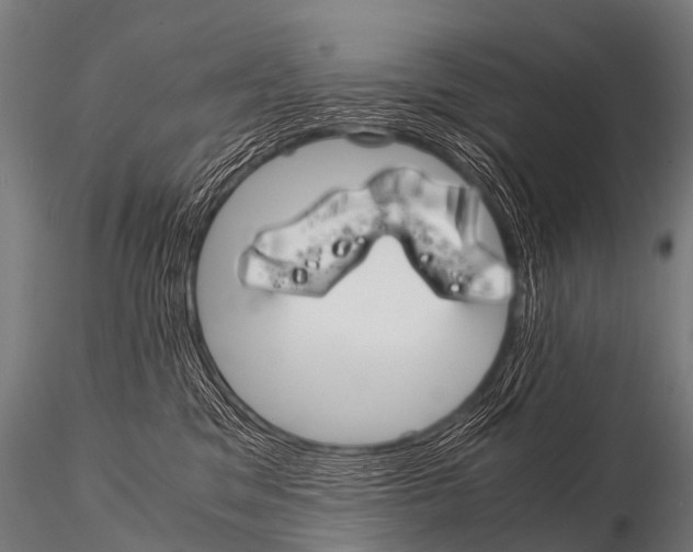 X0000115210329200912091203