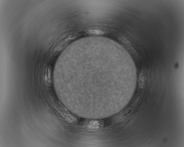 X0000115210330200912091203