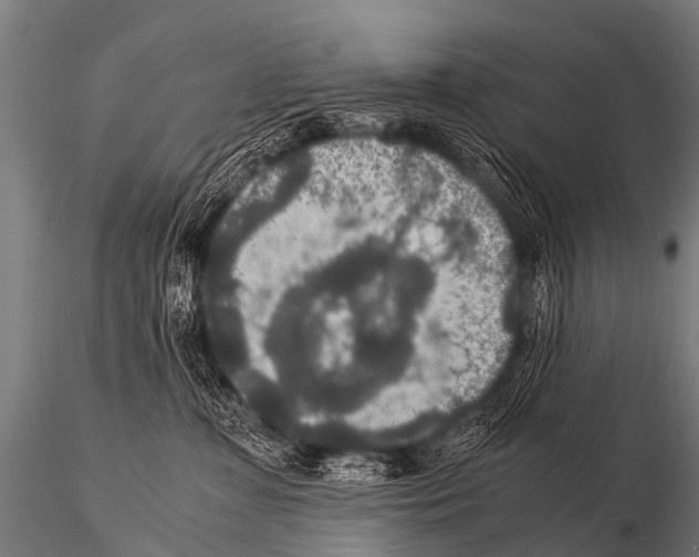 X0000115210331200912091203