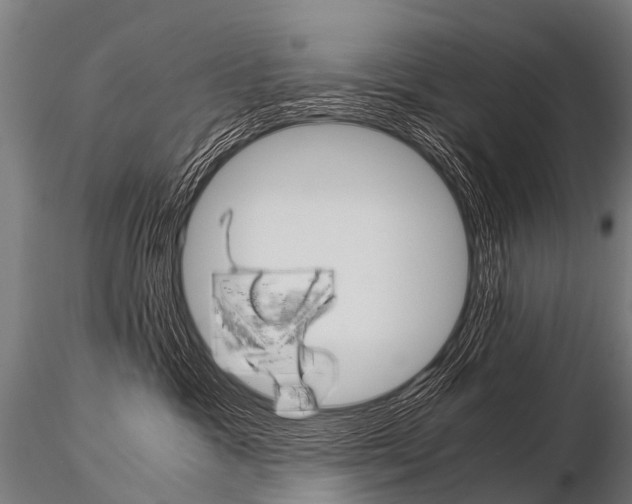 X0000115210333200912091203