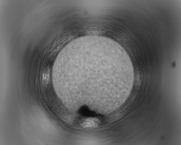 X0000115210334200912091203