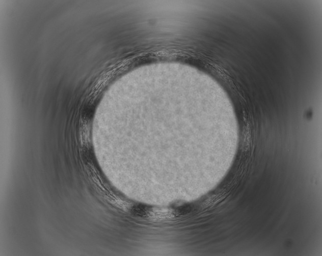 X0000115210335200912091203