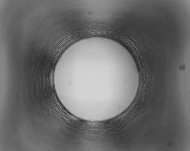 X0000115210336200912091203