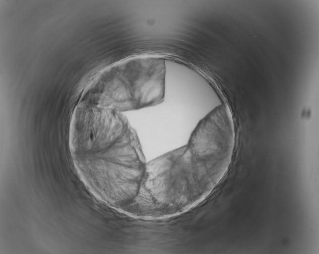 X0000115210337200912091203