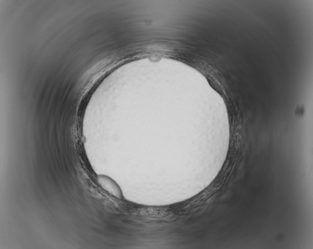 X0000115210338200912091203