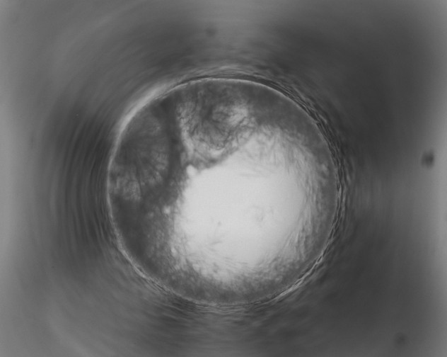 X0000115210341200912091203