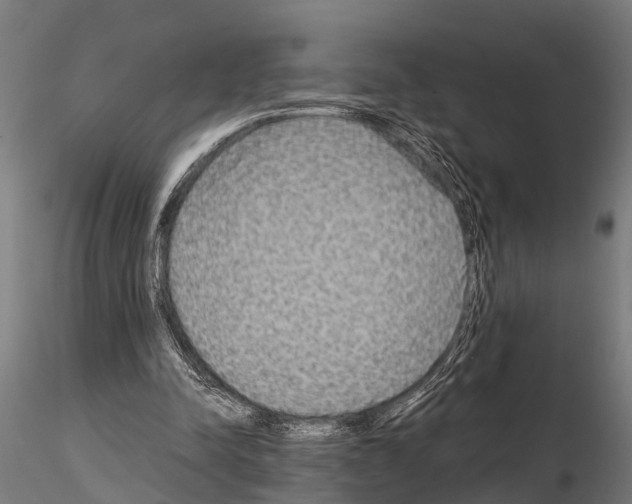 X0000115210342200912091203