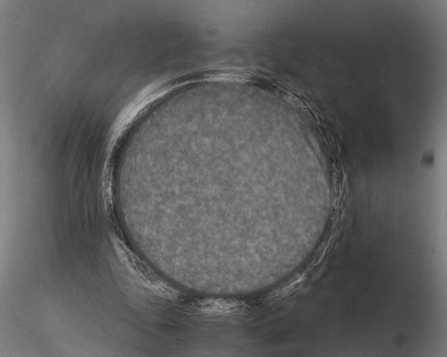 X0000115210343200912091203