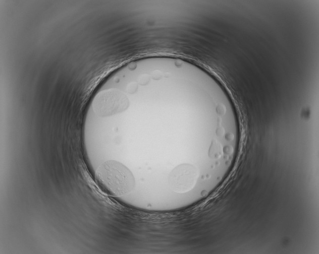 X0000115210345200912091203