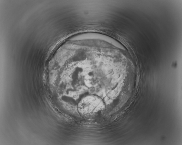 X0000115210346200912091203