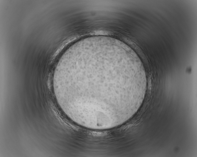 X0000115210347200912091203