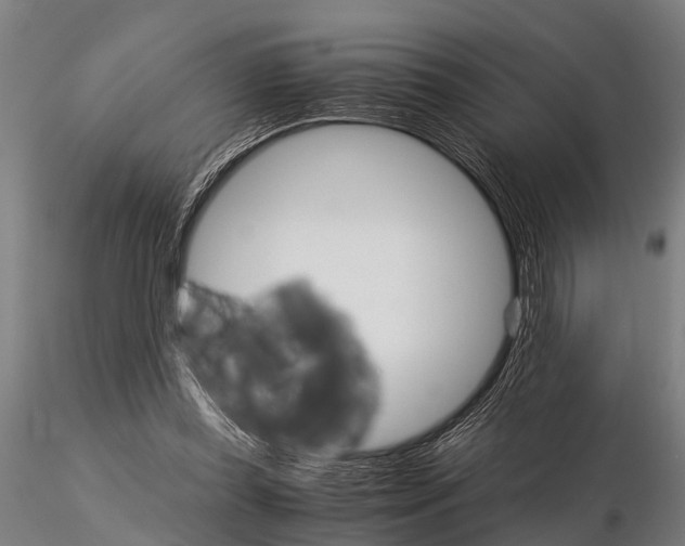 X0000115210349200912091203