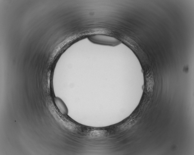 X0000115210350200912091203