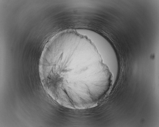 X0000115210353200912091203