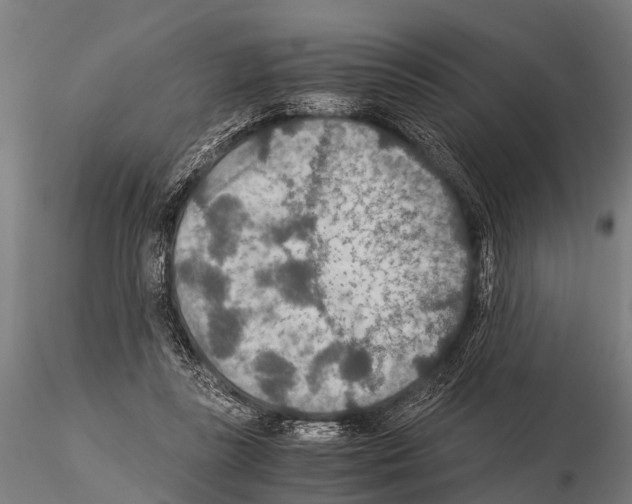 X0000115210355200912091203