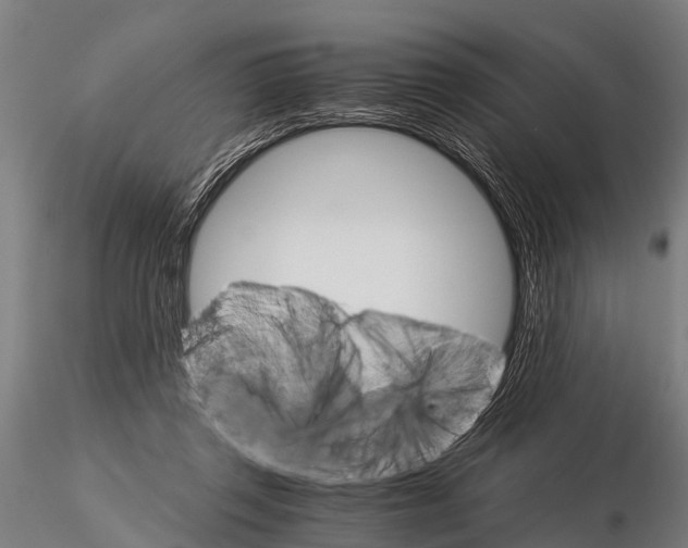 X0000115210357200912091203