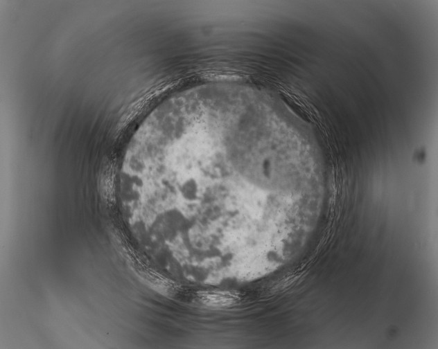 X0000115210359200912091203