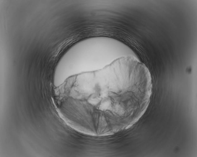 X0000115210361200912091203