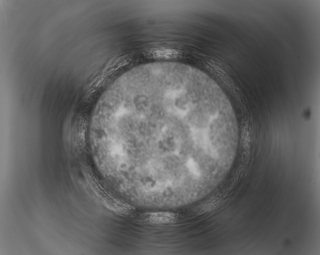 X0000115210363200912091203