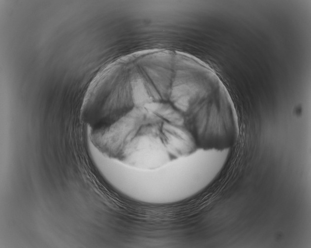 X0000115210365200912091203