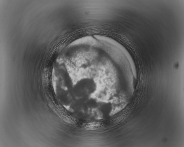 X0000115210366200912091203