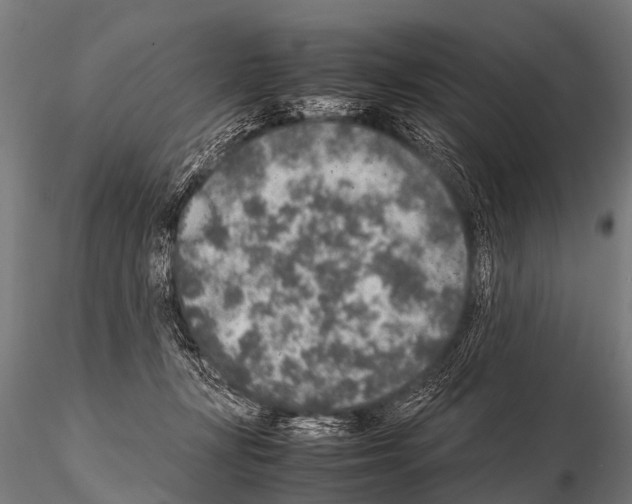 X0000115210367200912091203