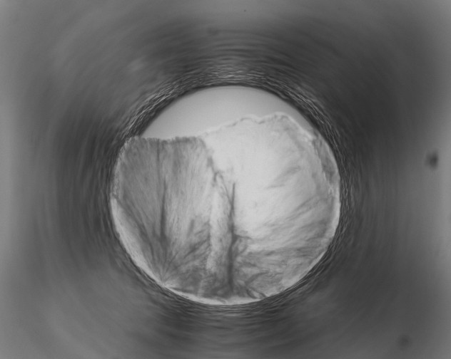 X0000115210369200912091203