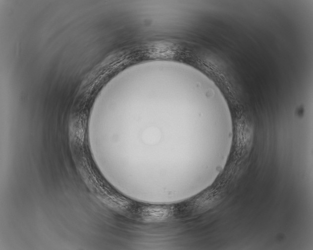 X0000115210370200912091203