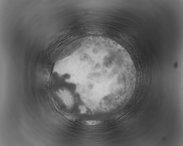 X0000115210371200912091203