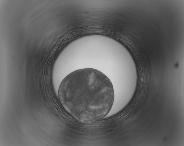 X0000115210373200912091203