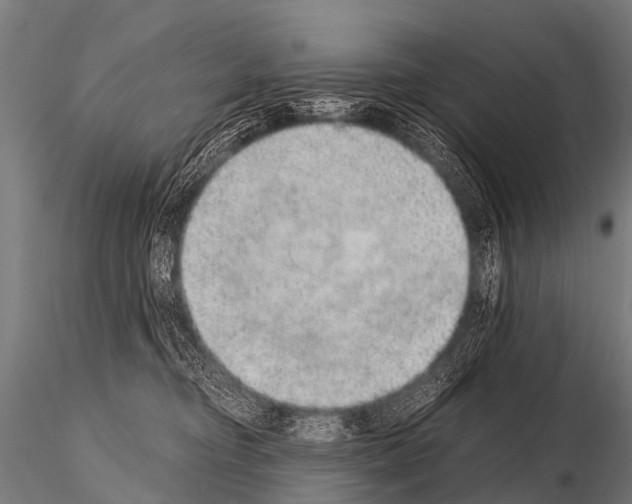 X0000115210374200912091203