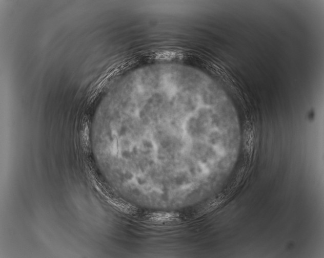 X0000115210375200912091203