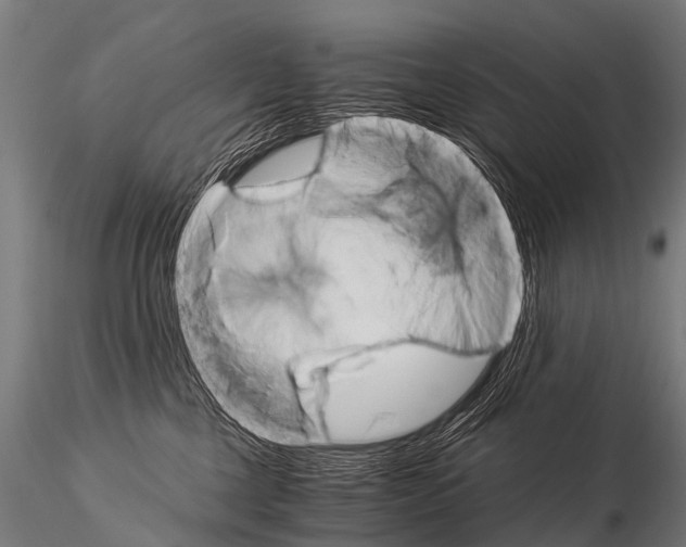 X0000115210377200912091203