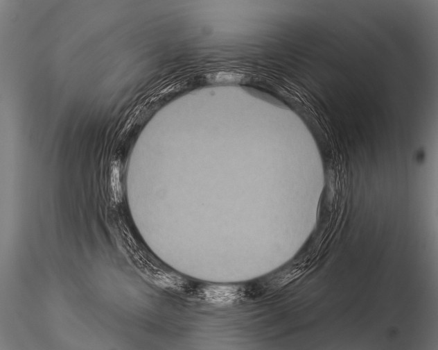 X0000115210378200912091203