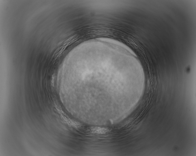 X0000115210379200912091203