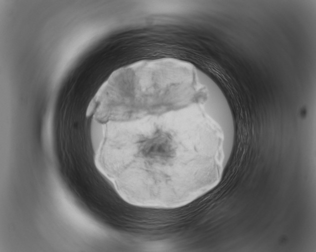 X0000115210381200912091203