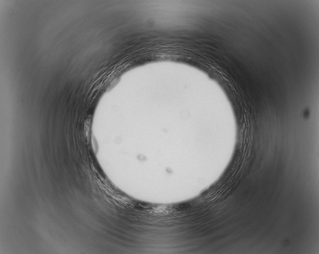 X0000115210382200912091203