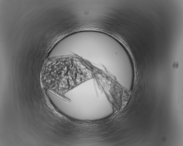 X0000115210385200912091203