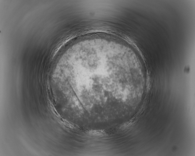 X0000115210386200912091203