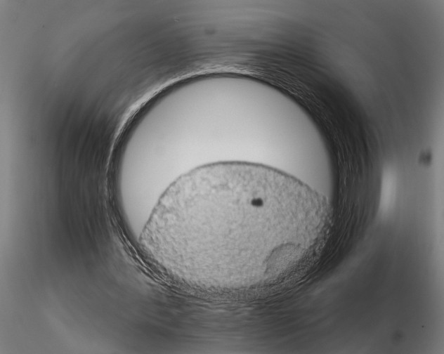 X0000115210388200912091203