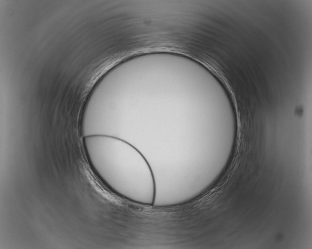 X0000115210389200912091203