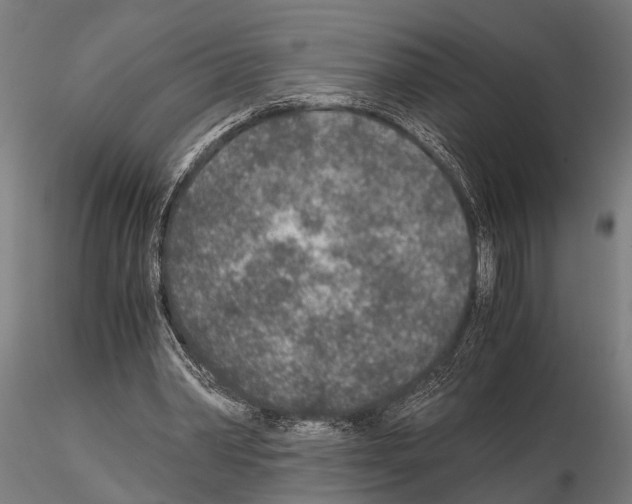 X0000115210390200912091203