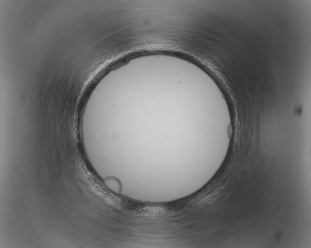 X0000115210391200912091203