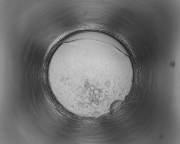 X0000115210392200912091203