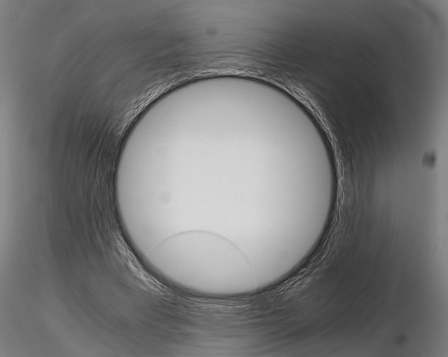 X0000115210393200912091203