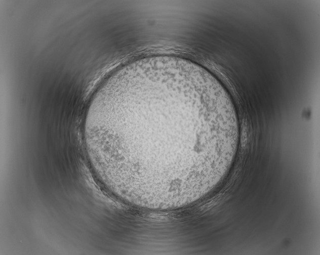 X0000115210394200912091203